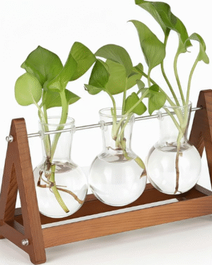Plant Terrarium with Wooden Stand